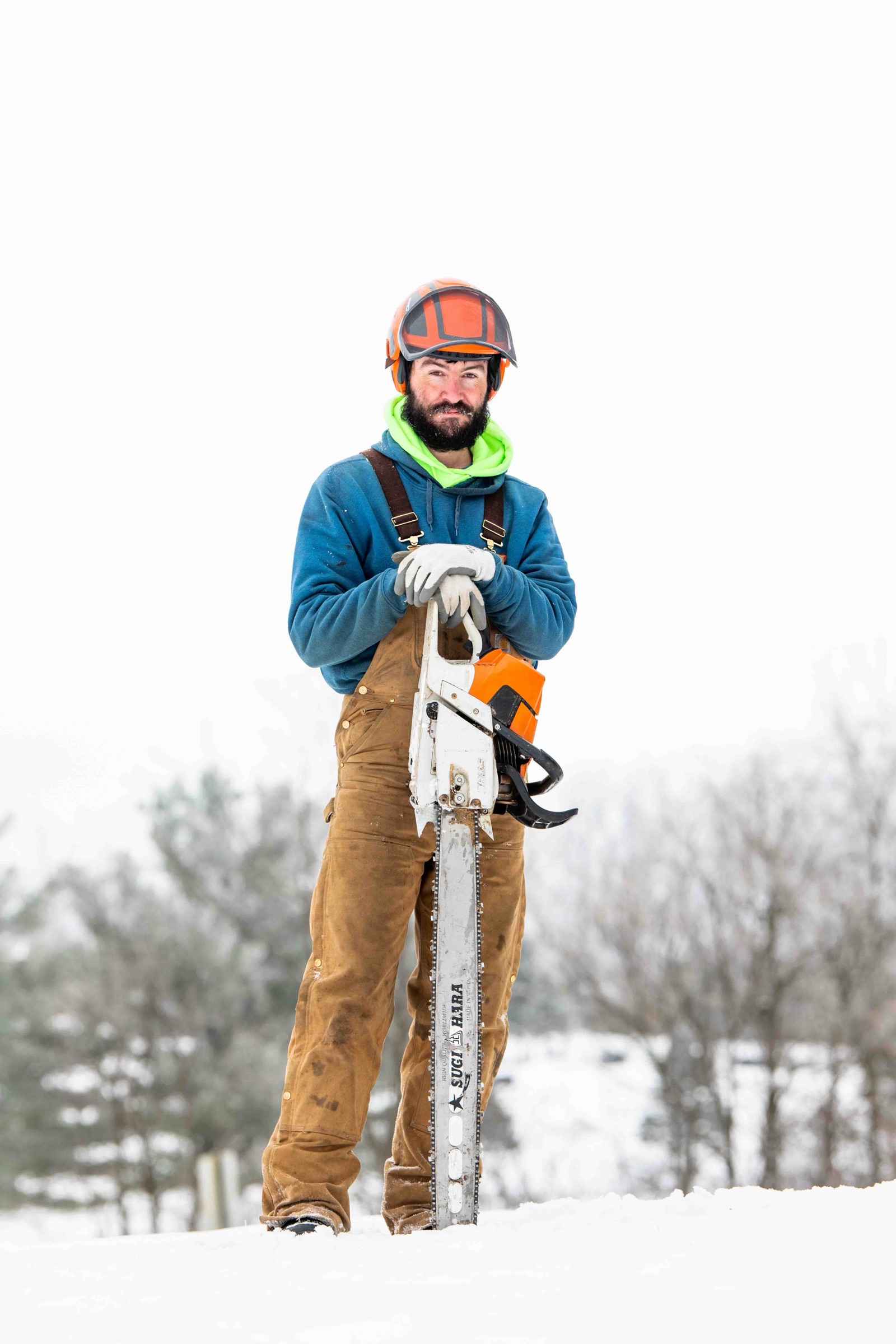 A Tree Loving Care arborist