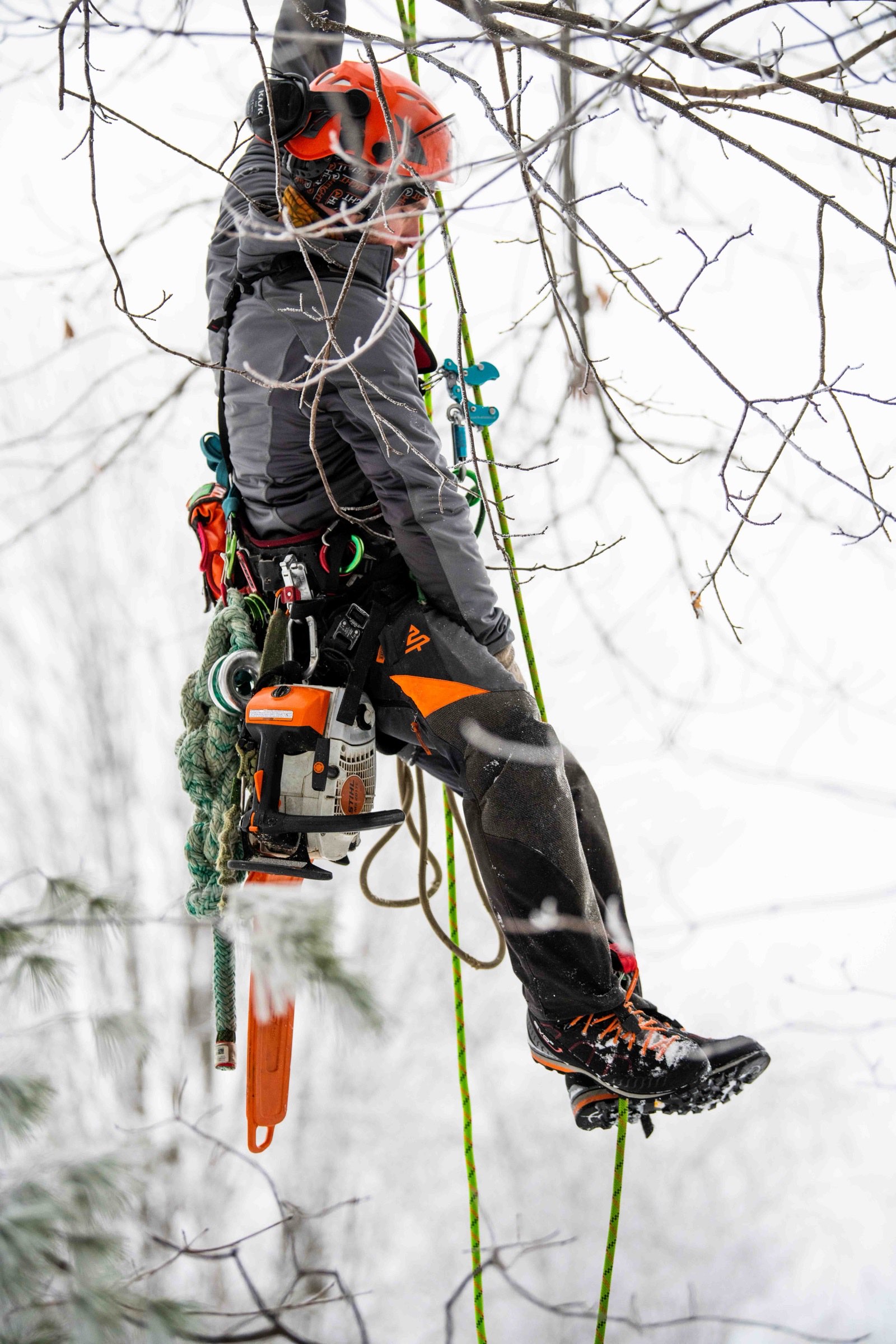 Climber roped into a tall ice-coated tree surrounded by frosted branches