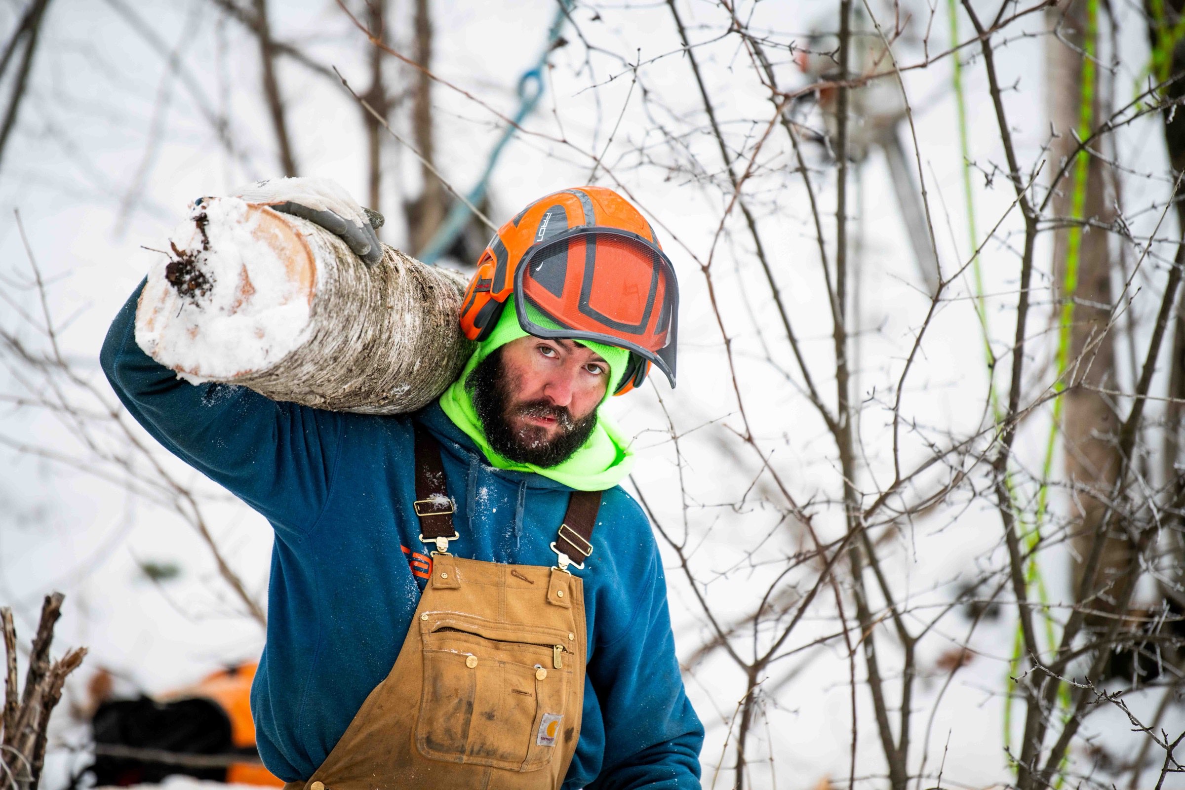 Detail of a climber's harness, rope and chainsaw rigged against a snowy trunk
