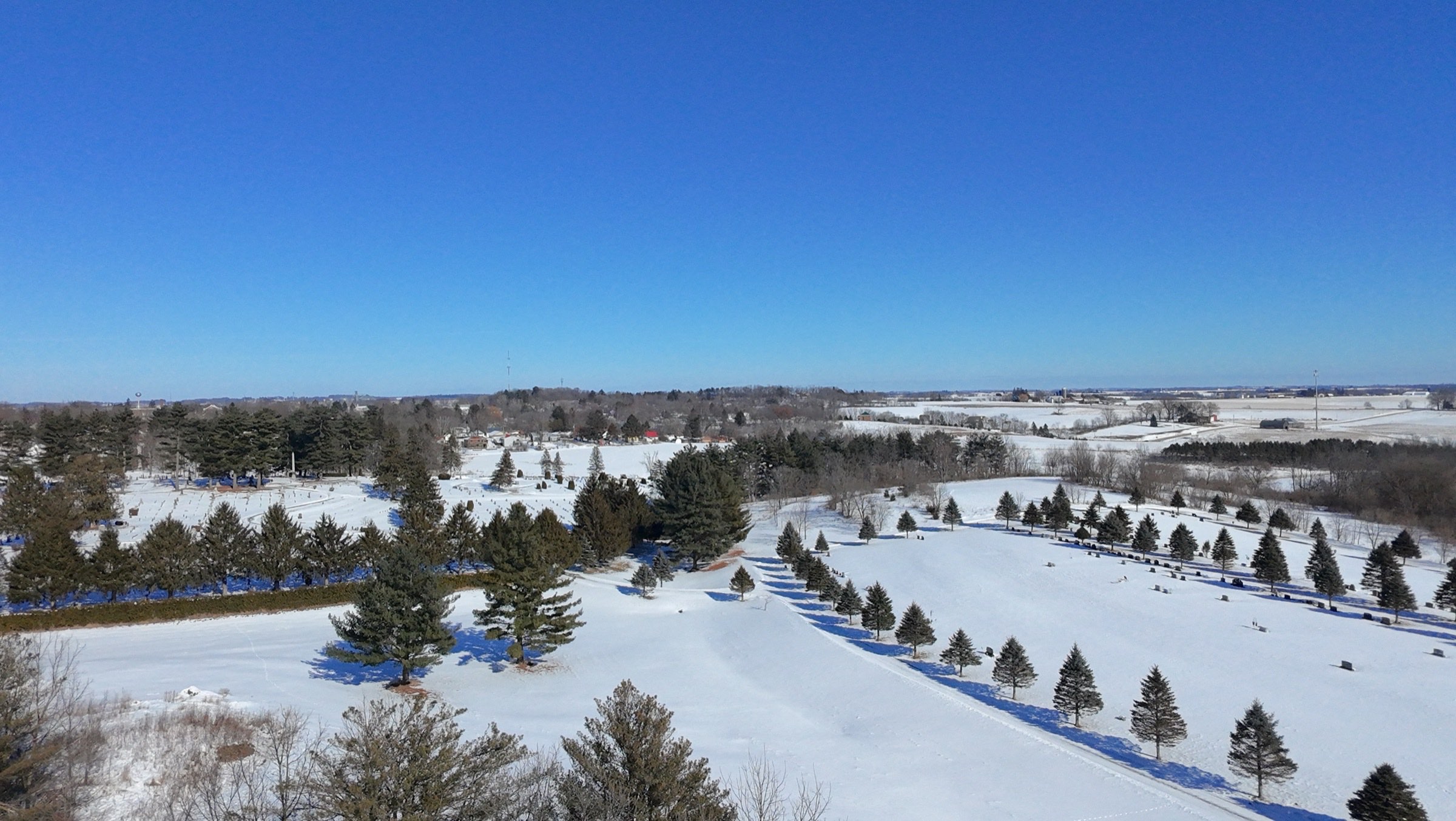 Snow-covered western Wisconsin countryside dotted with evergreens under a blue sky