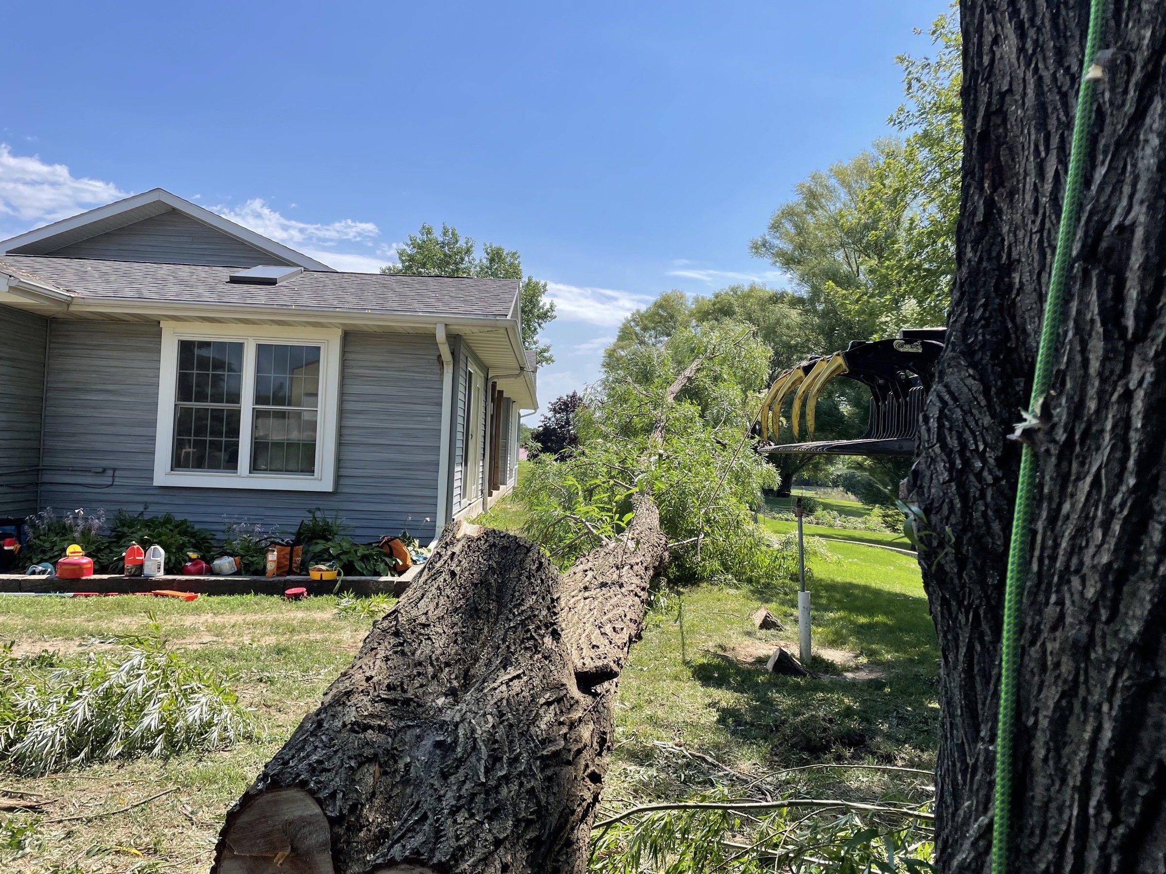 Felled tree trunk resting on a lawn beside a house during a summer removal