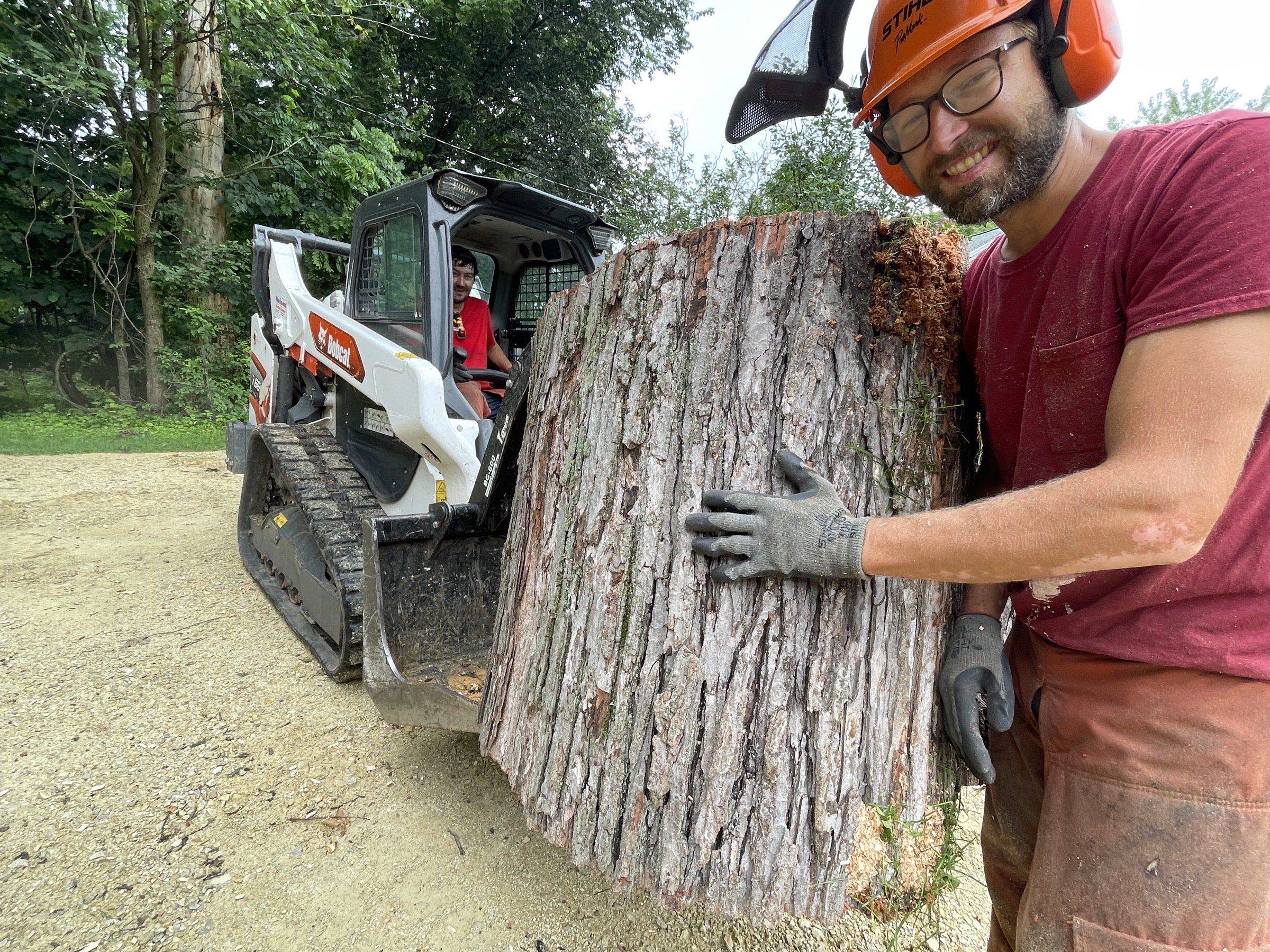 Two crew members cutting a large sectioned log with chainsaws in a green summer field